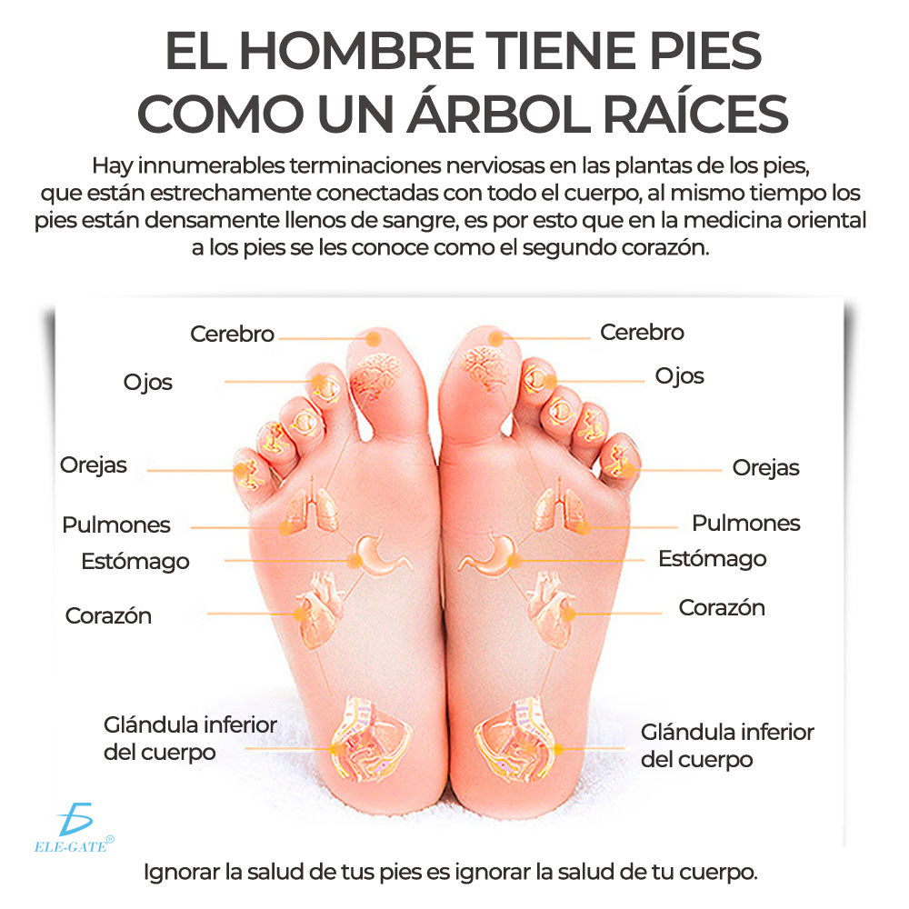 Masajeador Inteligente de pies y piernas Recargable